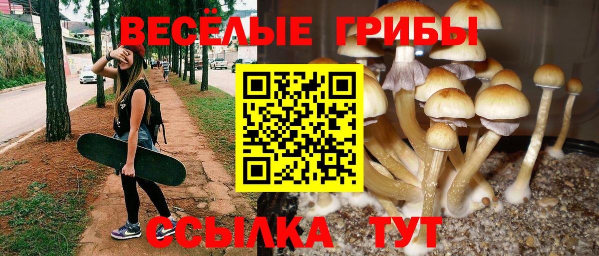 Партизанск  Галлюциногенные грибы Psilocybe  Вход с VPN  Псилоцибиновые грибы Magic Shrooms 