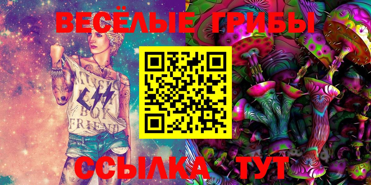 Псилоцибиновые грибы GOLDEN TEACHER Партизанск